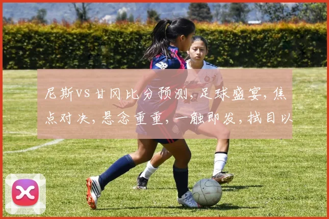 尼斯vs甘冈比分预测,足球盛宴,焦点对决,悬念重重,一触即发,拭目以待