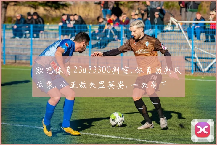 欧巴体育23a333OO判官,体育裁判风云录,公正裁决显英姿,一决高下